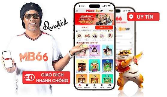Giấy phép và Quy định hợp pháp